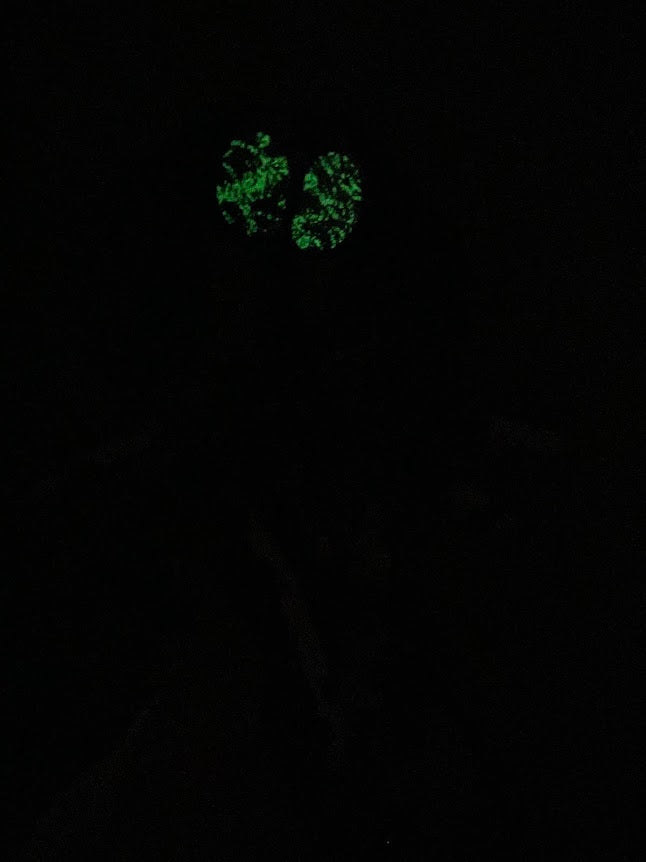 Spooky Season Pocketpunk