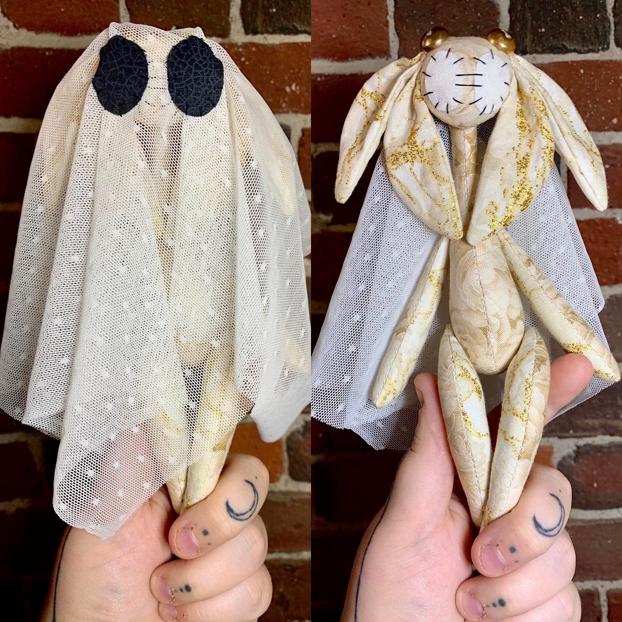 It's a Ghost! Pocketpunk