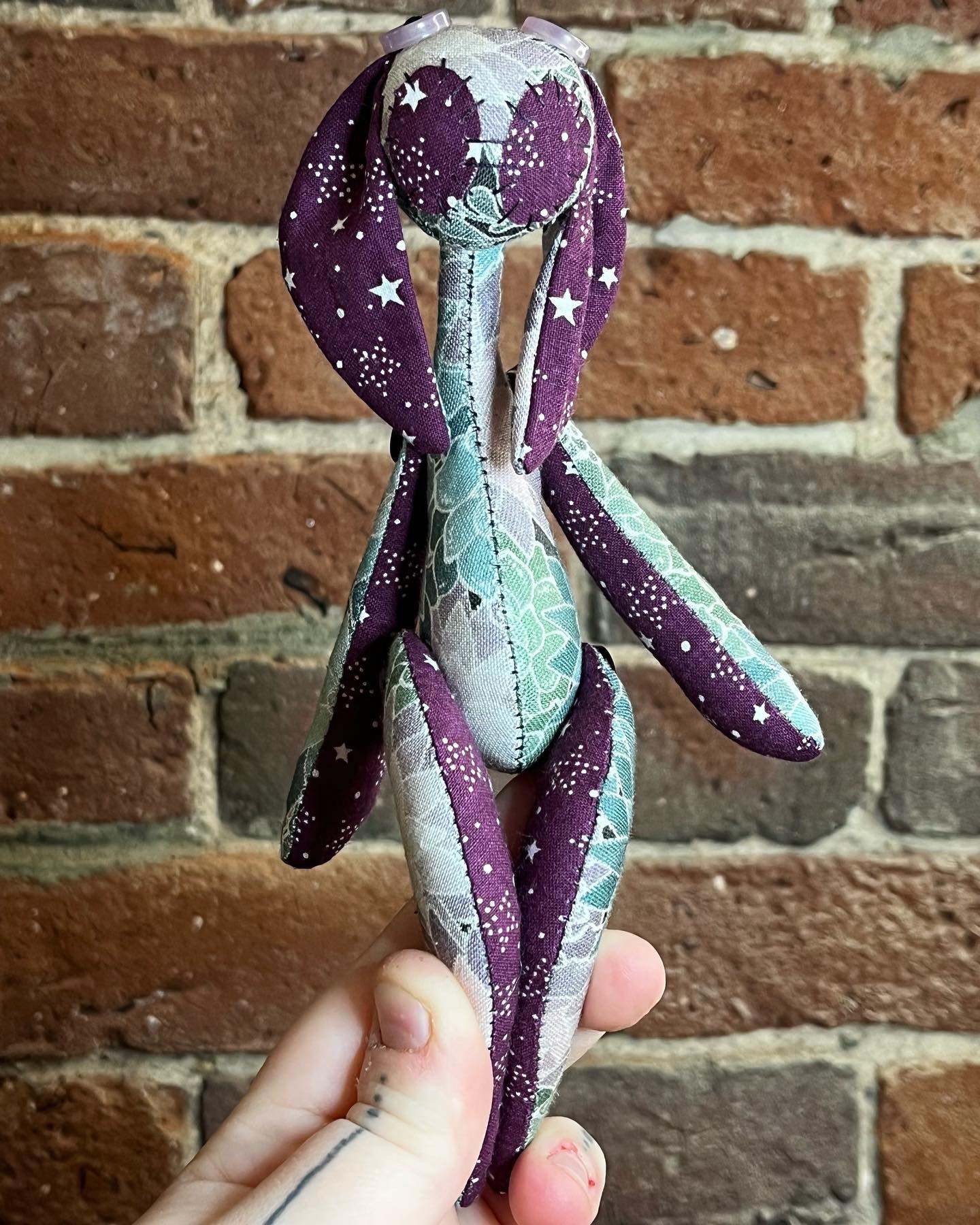 Succulents of the Stars Pocketpunk